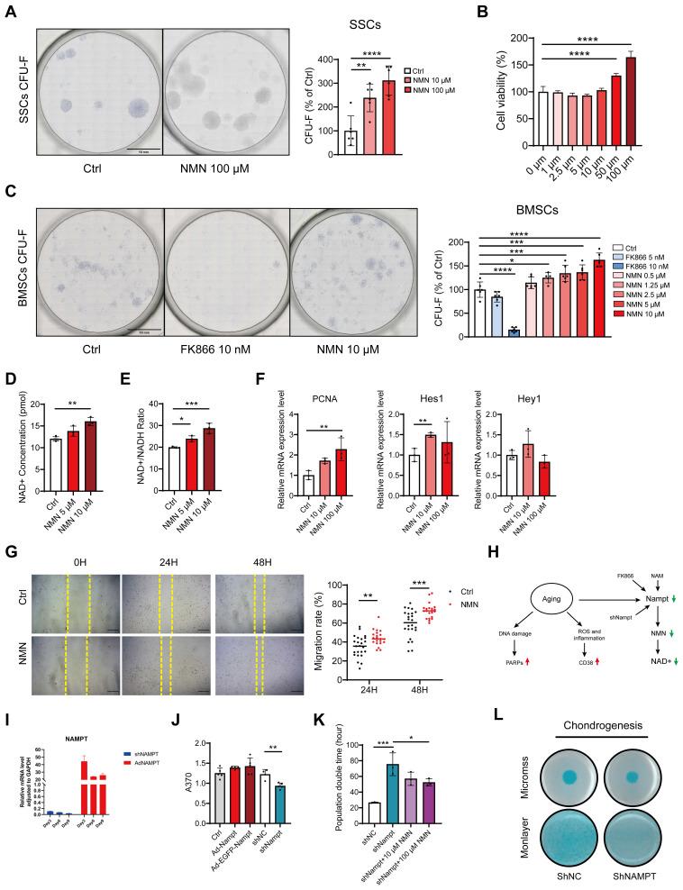 https://cdn.ncbi.nlm.nih.gov/pmc/blobs/b671/11426247/e20dc544e087/thnov14p5999g005.jpg
