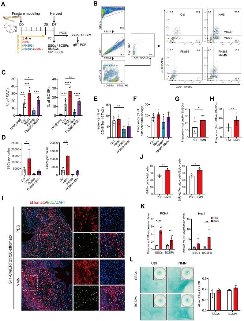 https://cdn.ncbi.nlm.nih.gov/pmc/blobs/b671/11426247/f540a2de29b3/thnov14p5999g003.jpg