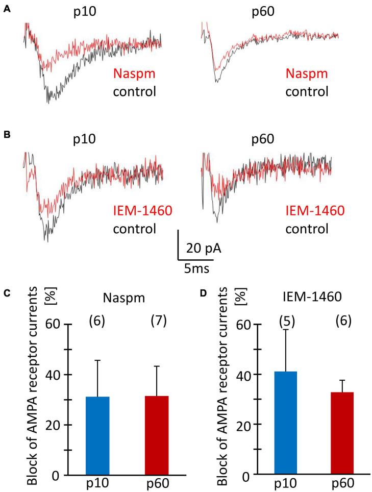 https://cdn.ncbi.nlm.nih.gov/pmc/blobs/b671/8222826/60751a0accd7/fncel-15-669717-g007.jpg