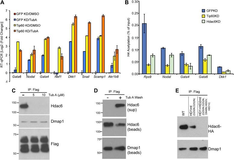 https://cdn.ncbi.nlm.nih.gov/pmc/blobs/b672/3843111/4dab76be2c4c/elife01557f005.jpg