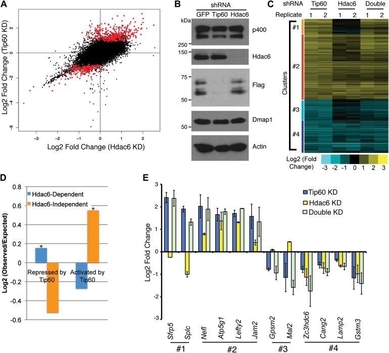 https://cdn.ncbi.nlm.nih.gov/pmc/blobs/b672/3843111/d5938d44a7ab/elife01557f003.jpg
