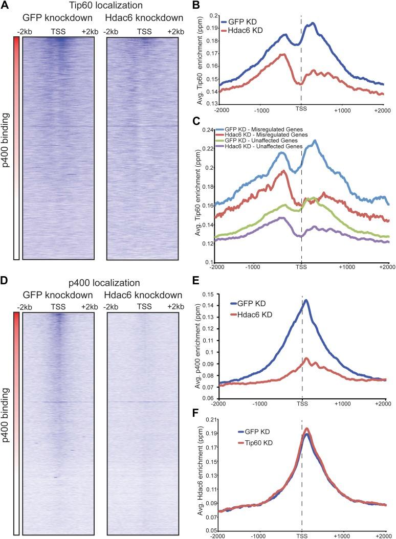 https://cdn.ncbi.nlm.nih.gov/pmc/blobs/b672/3843111/fd0b647471f6/elife01557f006.jpg
