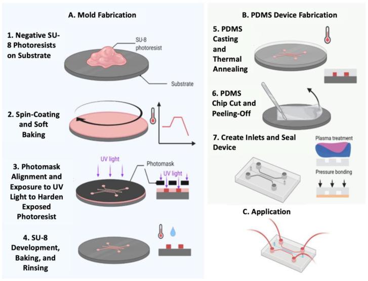https://cdn.ncbi.nlm.nih.gov/pmc/blobs/b674/11118809/34ed974102c5/biosensors-14-00249-g004.jpg