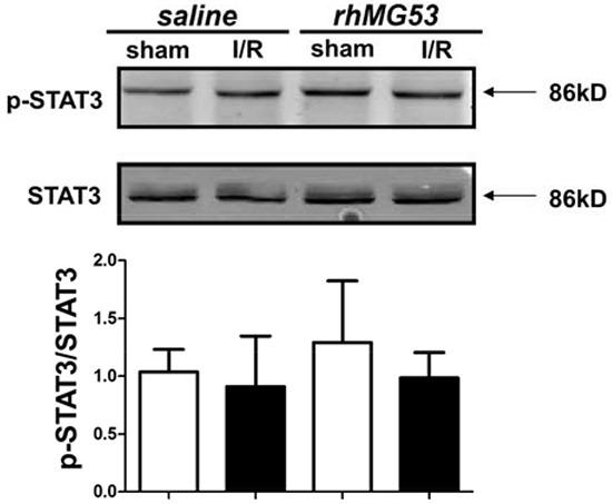 https://cdn.ncbi.nlm.nih.gov/pmc/blobs/b676/5008374/318e4359c5da/oncotarget-07-22474-g007.jpg