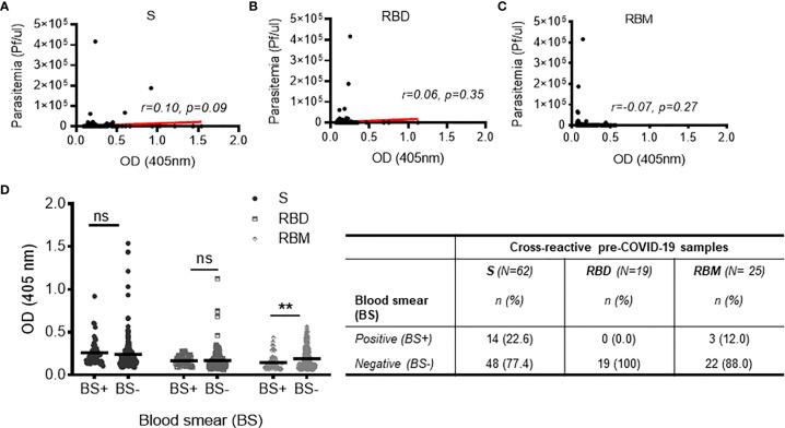 https://cdn.ncbi.nlm.nih.gov/pmc/blobs/b676/9109707/1f33d457ca4e/fimmu-13-856033-g007.jpg