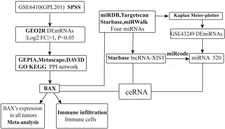 https://cdn.ncbi.nlm.nih.gov/pmc/blobs/b679/7757131/da14878ea538/ijmsv18p0419g001.jpg
