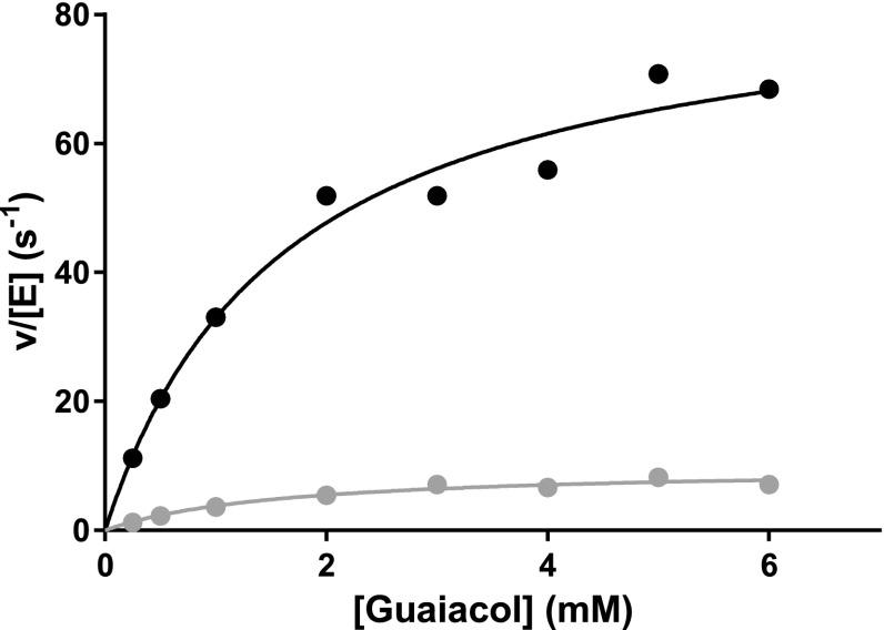 https://cdn.ncbi.nlm.nih.gov/pmc/blobs/b67a/4771821/3e676e7c5235/775_2015_1313_Fig3_HTML.jpg