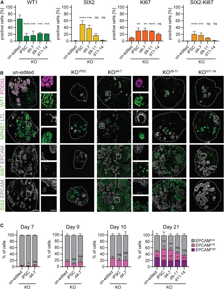 https://cdn.ncbi.nlm.nih.gov/pmc/blobs/b67b/8452534/cc70bf847cce/gr1.jpg