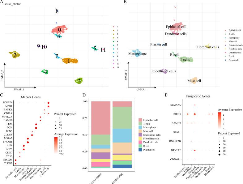 https://cdn.ncbi.nlm.nih.gov/pmc/blobs/b67f/12422274/a2bfb48ce1a7/peerj-13-19892-g006.jpg