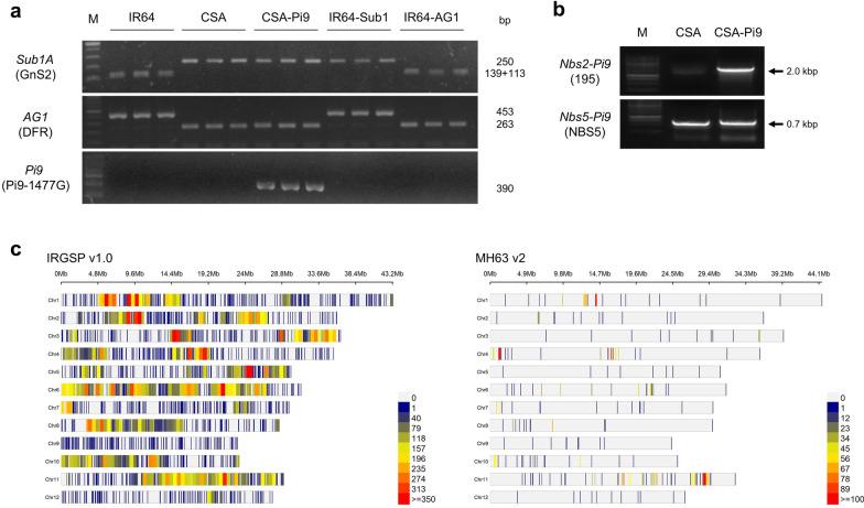 https://cdn.ncbi.nlm.nih.gov/pmc/blobs/b680/8994804/0663c4889155/12284_2022_568_Fig2_HTML.jpg