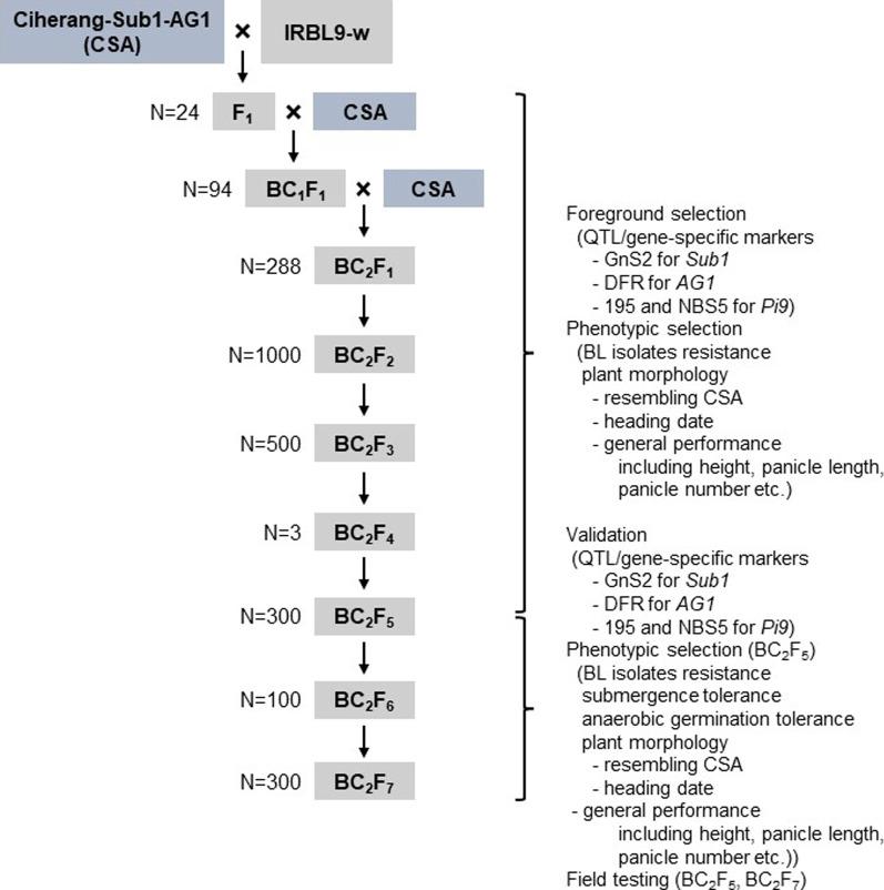 https://cdn.ncbi.nlm.nih.gov/pmc/blobs/b680/8994804/6aaecdadd085/12284_2022_568_Fig1_HTML.jpg