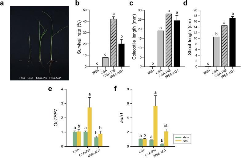 https://cdn.ncbi.nlm.nih.gov/pmc/blobs/b680/8994804/95a21da29f65/12284_2022_568_Fig5_HTML.jpg