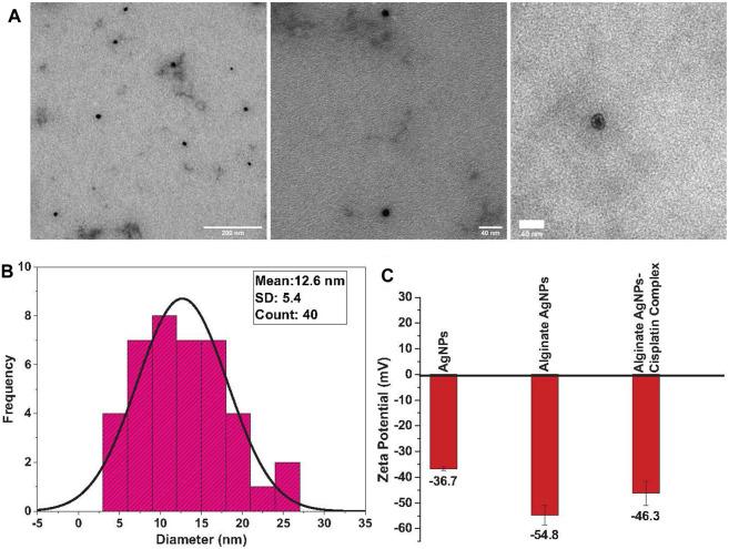 https://cdn.ncbi.nlm.nih.gov/pmc/blobs/b682/10626534/dd2a254c37d2/fmolb-10-1242838-g002.jpg