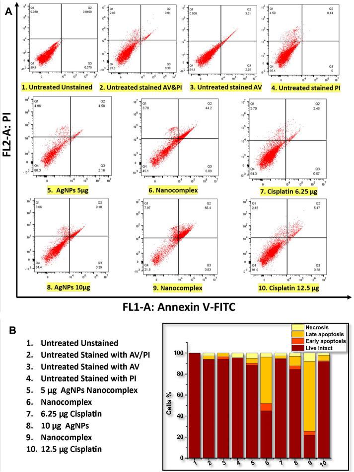 https://cdn.ncbi.nlm.nih.gov/pmc/blobs/b682/10626534/e16c7e683497/fmolb-10-1242838-g010.jpg