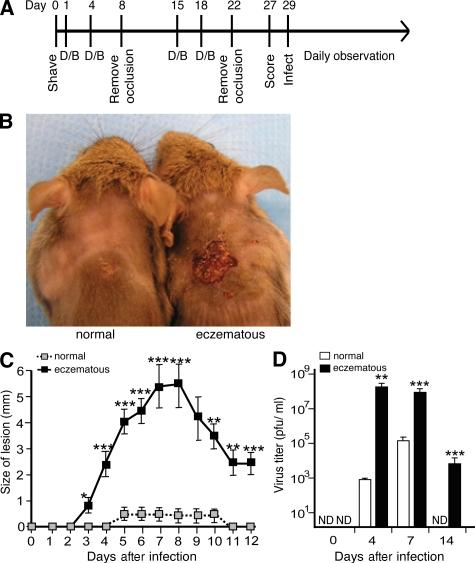 https://cdn.ncbi.nlm.nih.gov/pmc/blobs/b685/2715052/785ef576afff/JEM_20082835_RGB_Fig1.jpg