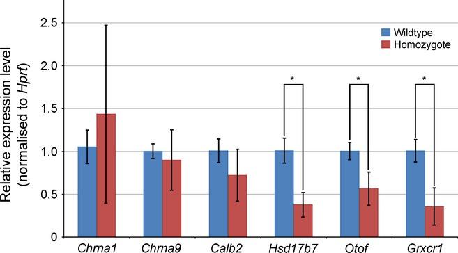https://cdn.ncbi.nlm.nih.gov/pmc/blobs/b689/4065360/ad99712fb5ac/ejn0039-0744-f7.jpg