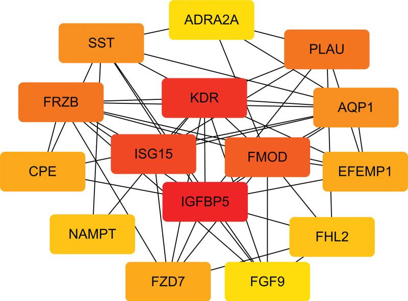 https://cdn.ncbi.nlm.nih.gov/pmc/blobs/b68b/11098239/bbf0aa4c3fef/medi-103-e38097-g007.jpg