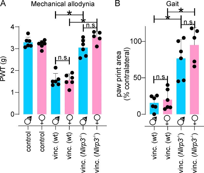 https://cdn.ncbi.nlm.nih.gov/pmc/blobs/b68b/7933984/e0b00aaccd81/JEM_20201452_FigS5.jpg