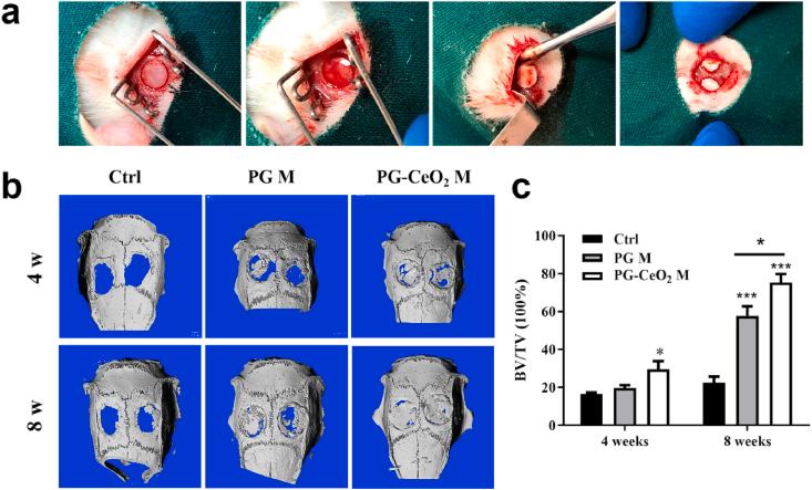 https://cdn.ncbi.nlm.nih.gov/pmc/blobs/b68b/8379477/33b56f4cdc8a/gr7.jpg