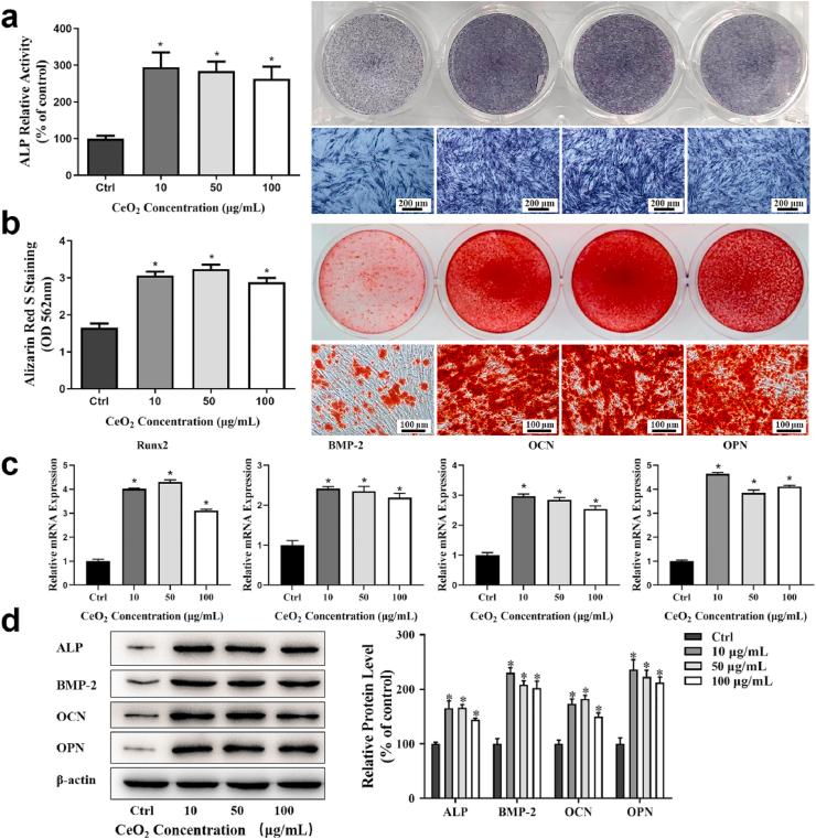 https://cdn.ncbi.nlm.nih.gov/pmc/blobs/b68b/8379477/e5f5b0c03abe/gr3.jpg