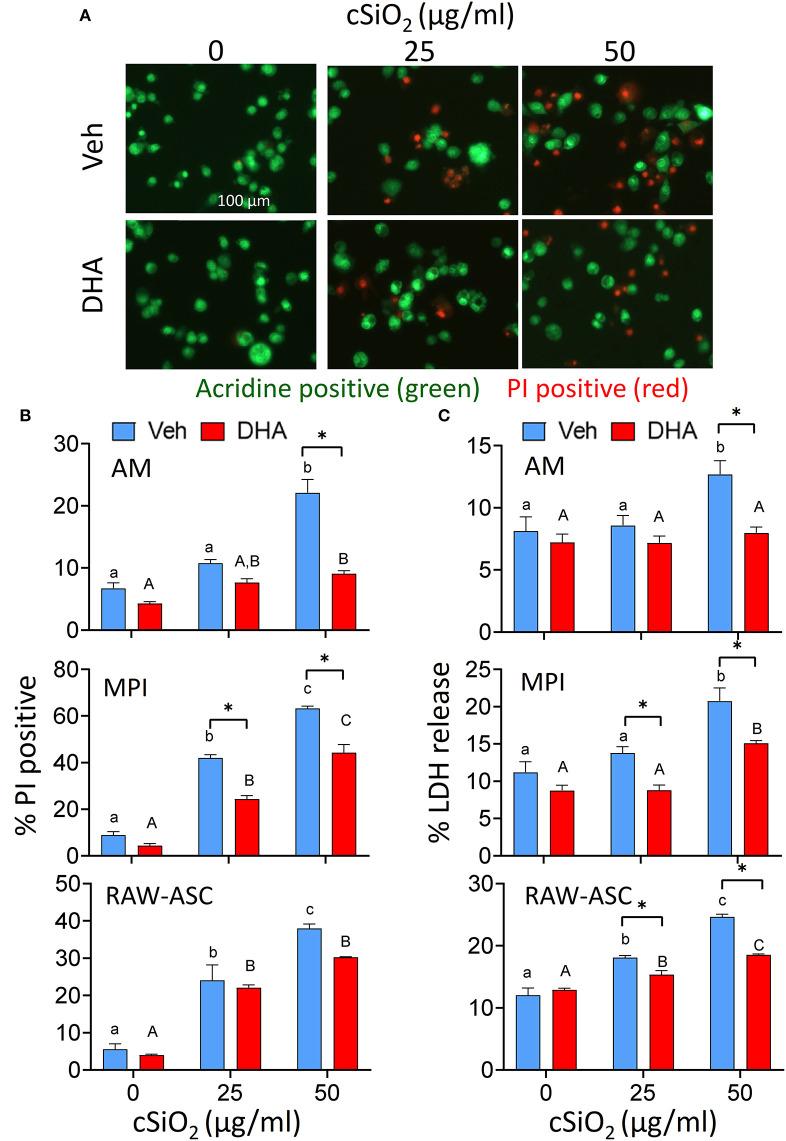 https://cdn.ncbi.nlm.nih.gov/pmc/blobs/b68c/7573148/4ad15666b7dc/fimmu-11-02179-g0002.jpg