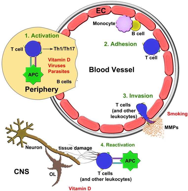 https://cdn.ncbi.nlm.nih.gov/pmc/blobs/b68d/7127277/a27f9b4504e2/gr1_lrg.jpg