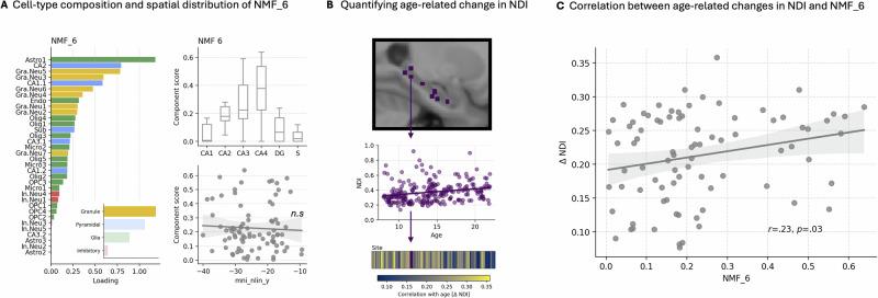 https://cdn.ncbi.nlm.nih.gov/pmc/blobs/b68e/11861319/94ab85bfa442/42003_2025_7725_Fig6_HTML.jpg