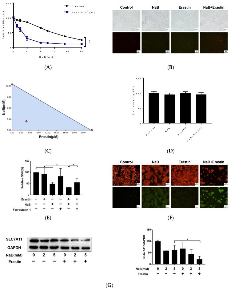 https://cdn.ncbi.nlm.nih.gov/pmc/blobs/b68e/9856855/1edf3c2fba20/cancers-15-00423-g006.jpg