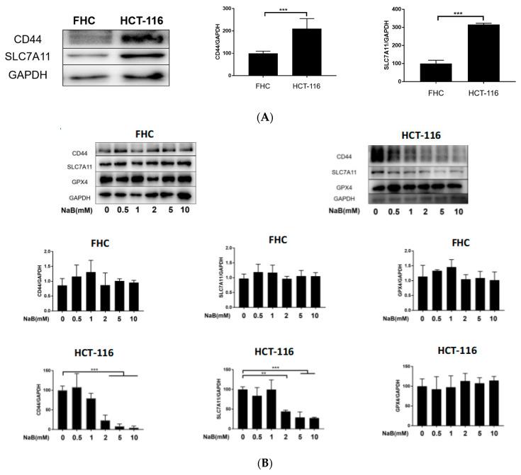 https://cdn.ncbi.nlm.nih.gov/pmc/blobs/b68e/9856855/ea1b2a2a1b1b/cancers-15-00423-g004a.jpg