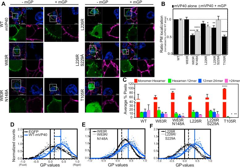 https://cdn.ncbi.nlm.nih.gov/pmc/blobs/b68f/8191294/2d953fe6d20b/gr2.jpg