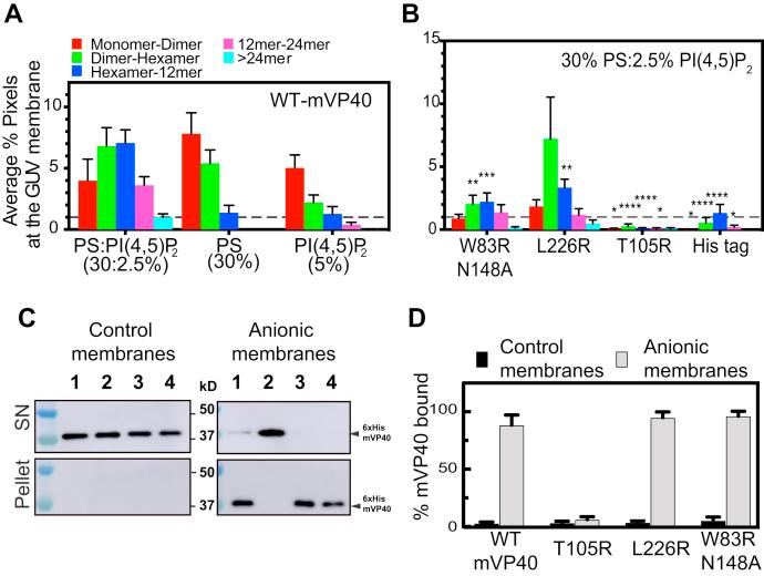 https://cdn.ncbi.nlm.nih.gov/pmc/blobs/b68f/8191294/3388d1107d74/gr4.jpg