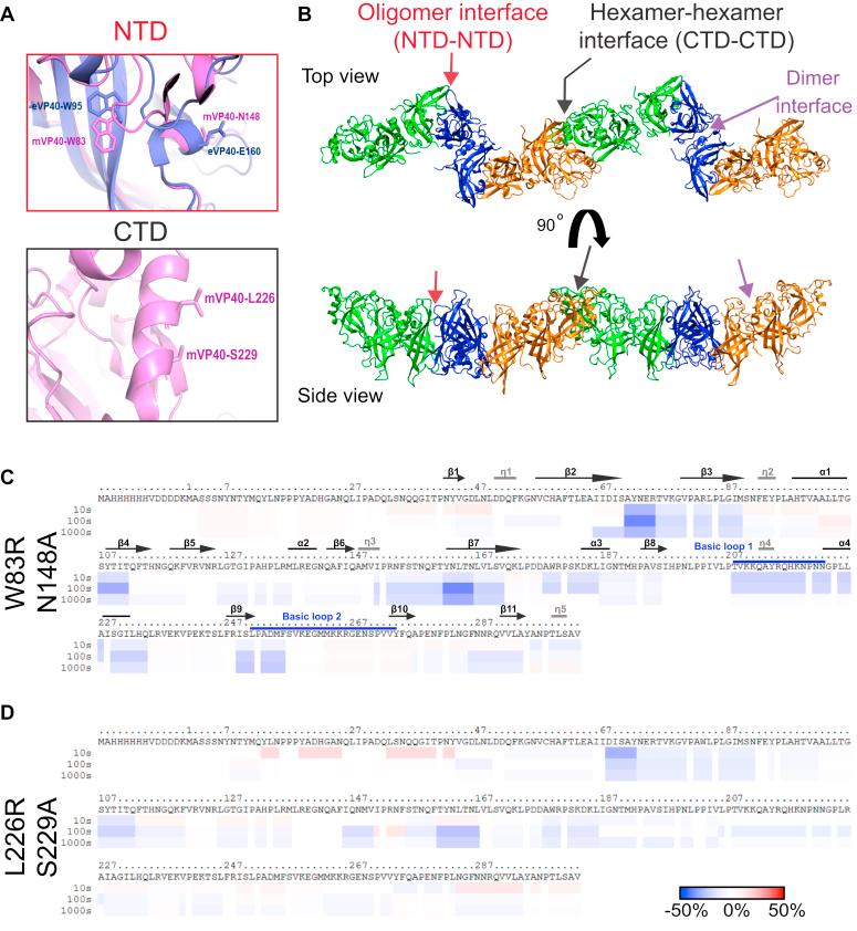 https://cdn.ncbi.nlm.nih.gov/pmc/blobs/b68f/8191294/3702a2ecbf7d/gr1.jpg