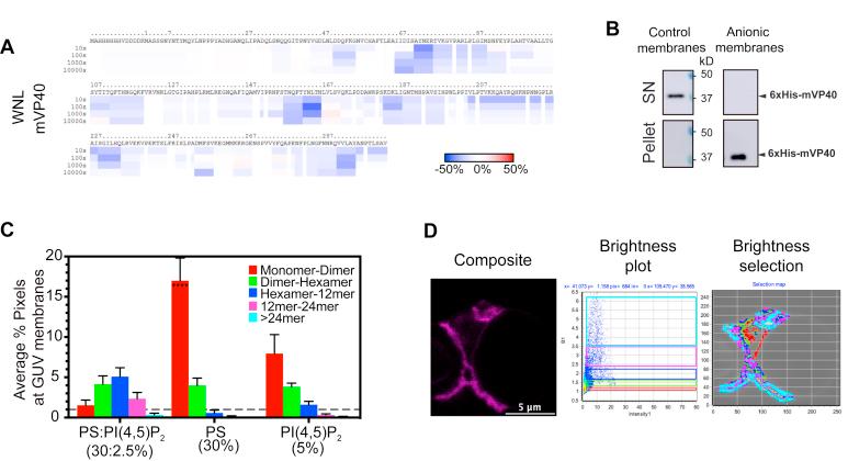 https://cdn.ncbi.nlm.nih.gov/pmc/blobs/b68f/8191294/3a7cbd2cfa41/gr5.jpg