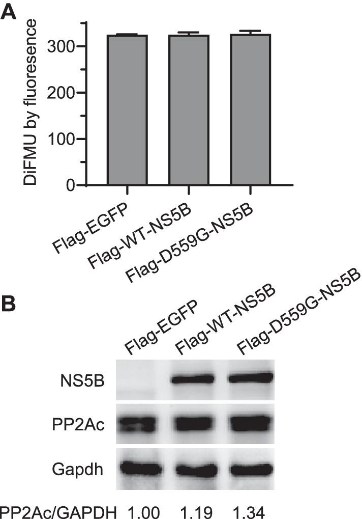 https://cdn.ncbi.nlm.nih.gov/pmc/blobs/b68f/9284890/27e6ef6b1f00/12985_2022_1848_Fig7_HTML.jpg