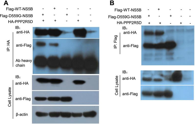 https://cdn.ncbi.nlm.nih.gov/pmc/blobs/b68f/9284890/75afd02e97ad/12985_2022_1848_Fig2_HTML.jpg