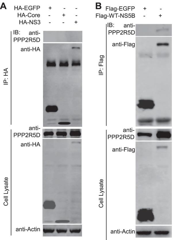 https://cdn.ncbi.nlm.nih.gov/pmc/blobs/b68f/9284890/78d6b90fc79e/12985_2022_1848_Fig3_HTML.jpg