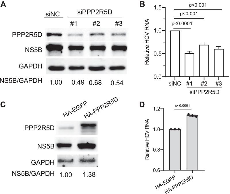https://cdn.ncbi.nlm.nih.gov/pmc/blobs/b68f/9284890/9b950d987eca/12985_2022_1848_Fig6_HTML.jpg