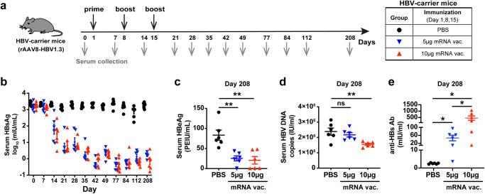 https://cdn.ncbi.nlm.nih.gov/pmc/blobs/b690/10838333/c80d48472fda/41541_2024_813_Fig2_HTML.jpg