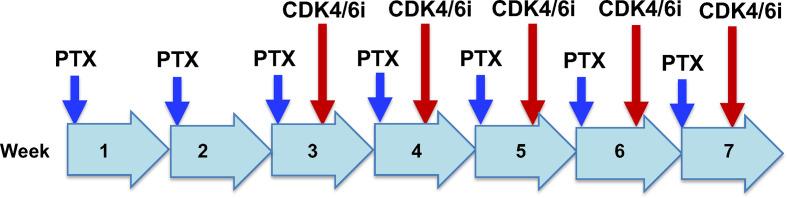 https://cdn.ncbi.nlm.nih.gov/pmc/blobs/b690/9520484/e778ddd392bf/fonc-12-907520-g004.jpg