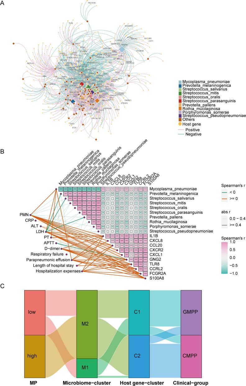 https://cdn.ncbi.nlm.nih.gov/pmc/blobs/b691/10795342/a7fff3778f72/12931_2024_2687_Fig5_HTML.jpg