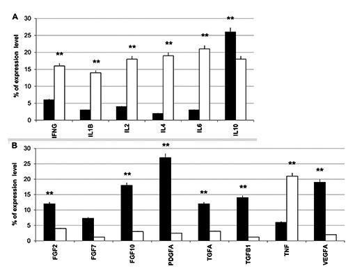 https://cdn.ncbi.nlm.nih.gov/pmc/blobs/b693/5572111/a005a41c56bd/ejh-61-3-2800-g006.jpg