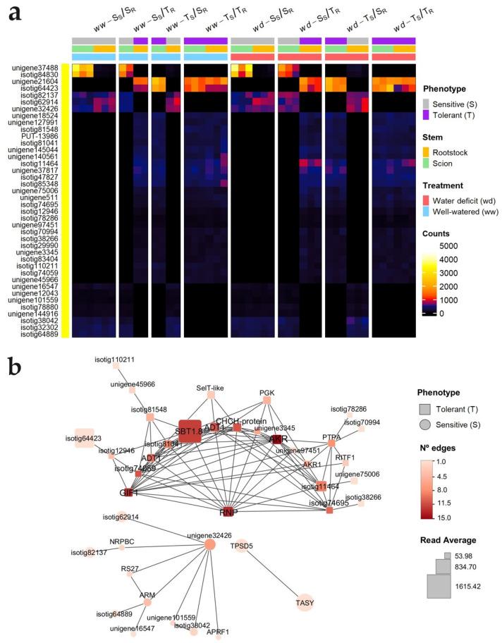 https://cdn.ncbi.nlm.nih.gov/pmc/blobs/b696/11432578/7031a3f2f4c1/ijms-25-09926-g006.jpg