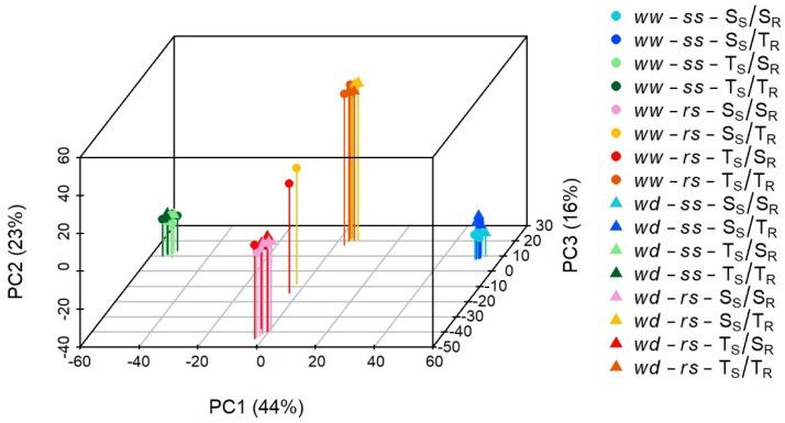 https://cdn.ncbi.nlm.nih.gov/pmc/blobs/b696/11432578/daf227aecb1b/ijms-25-09926-g001.jpg