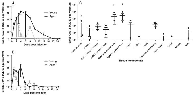 https://cdn.ncbi.nlm.nih.gov/pmc/blobs/b697/7164679/e1fc86660978/368_1012_F1.jpg