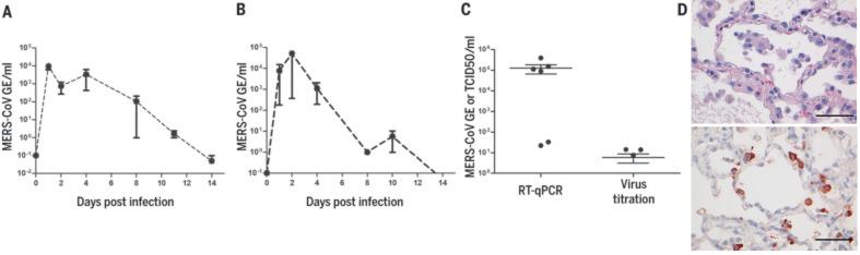 https://cdn.ncbi.nlm.nih.gov/pmc/blobs/b697/7164679/ec1664062f30/368_1012_F3.jpg