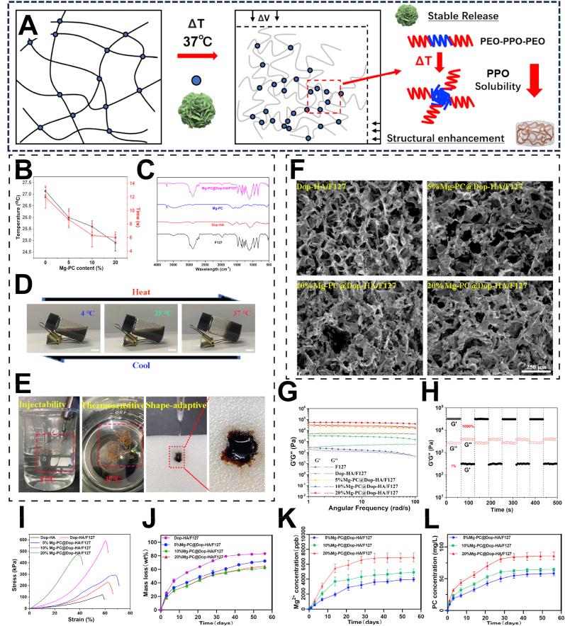 https://cdn.ncbi.nlm.nih.gov/pmc/blobs/b699/10909705/2406dc103757/gr2.jpg