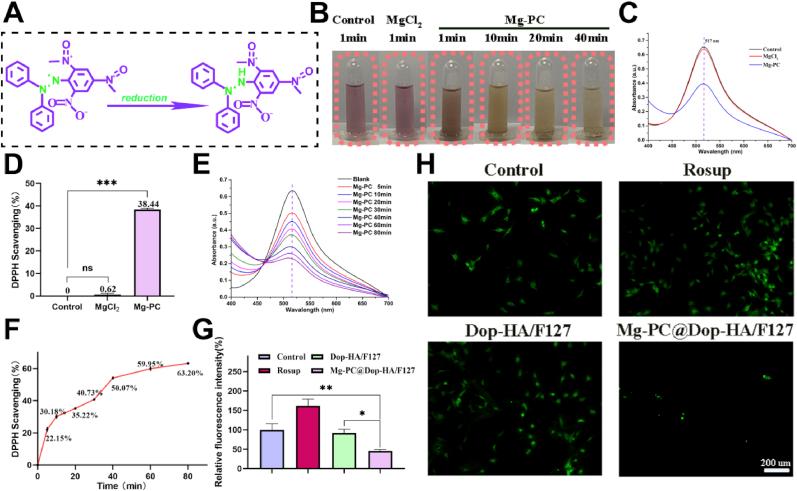 https://cdn.ncbi.nlm.nih.gov/pmc/blobs/b699/10909705/2f7d8e64bc2e/gr4.jpg