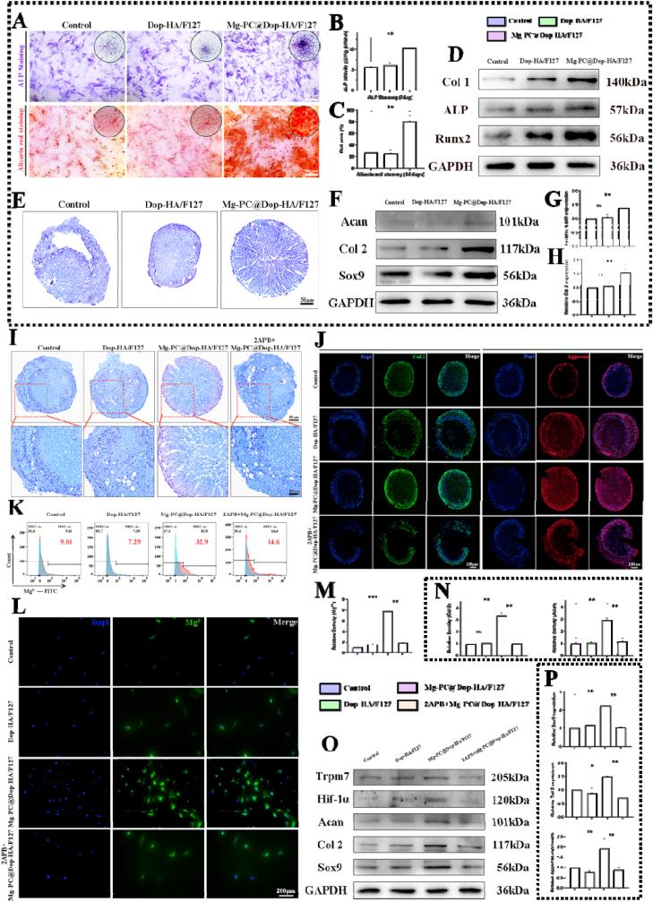 https://cdn.ncbi.nlm.nih.gov/pmc/blobs/b699/10909705/7d5b1807c54f/gr6.jpg