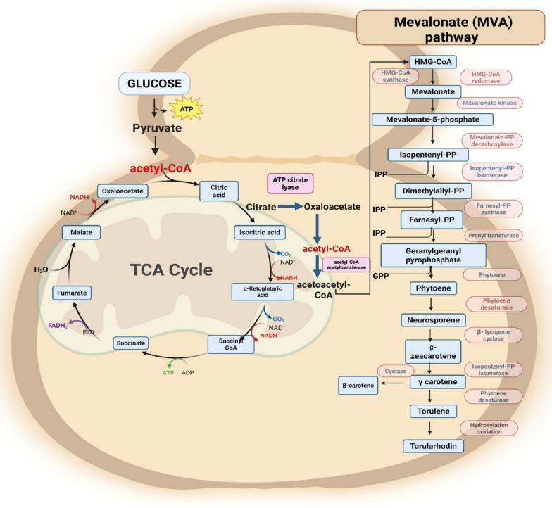 https://cdn.ncbi.nlm.nih.gov/pmc/blobs/b699/12172321/0c83d168b7ba/12934_2025_2752_Fig1_HTML.jpg