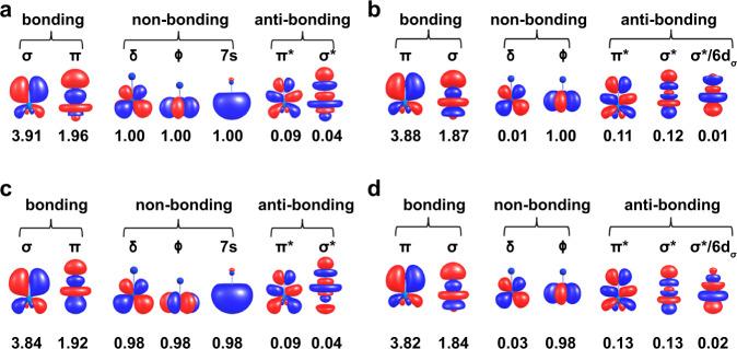 https://cdn.ncbi.nlm.nih.gov/pmc/blobs/b699/9684569/60ee2396874f/41467_2022_34651_Fig6_HTML.jpg